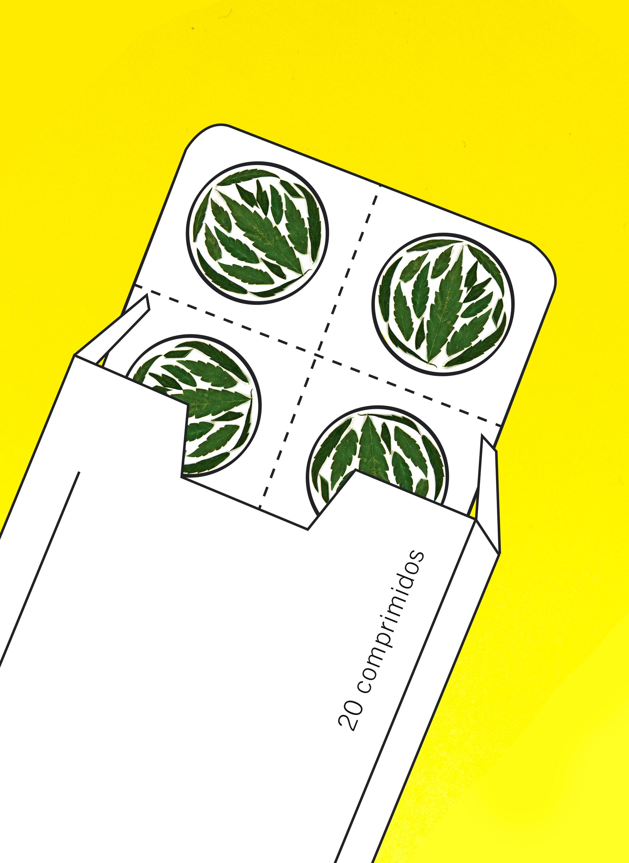 panorama 41 cannabis pastilla vertical